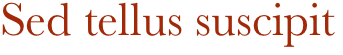 Sed tellus suscipit